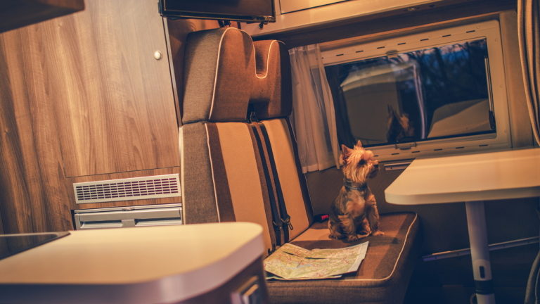 RVing with Pets: Expert Travel Tips You’ll Love