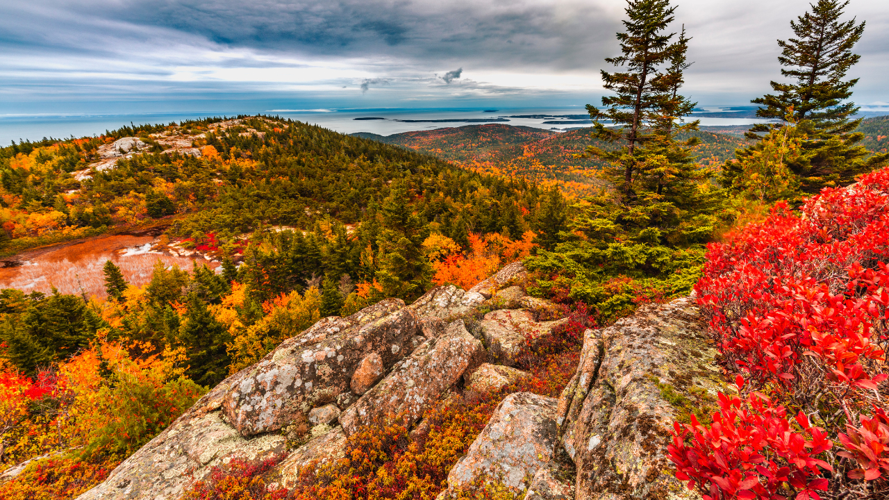 Acadia National Park
