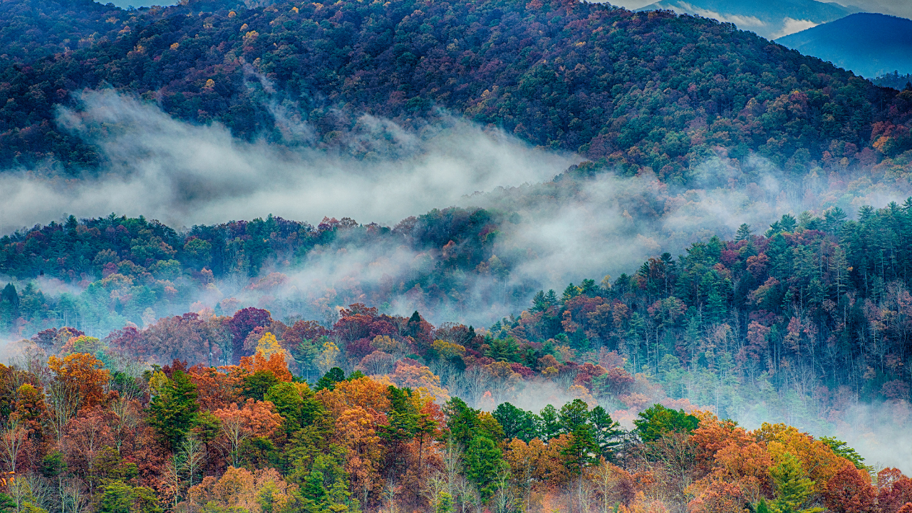 Great Smoky Mountains