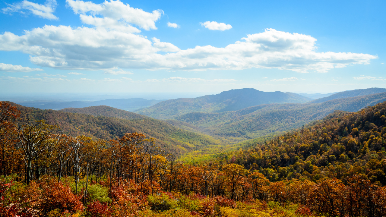 Shenandoah National Park