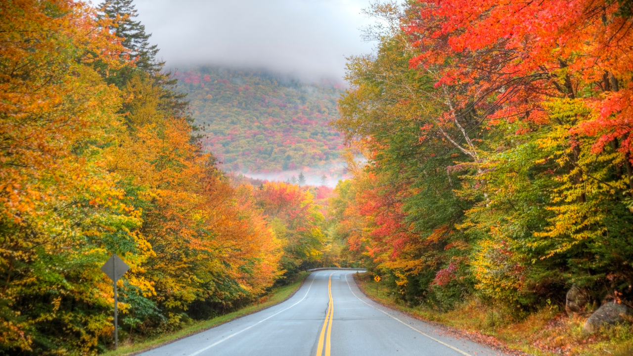 White Mountains
