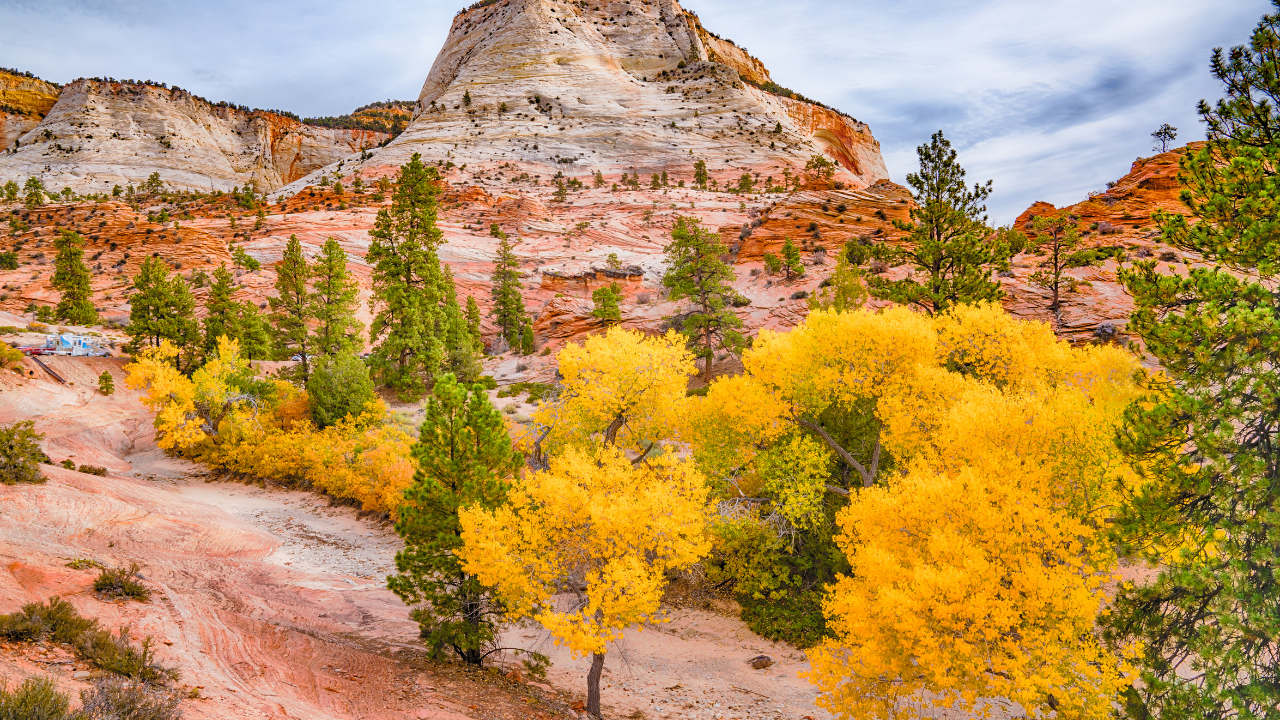 Zion National Park